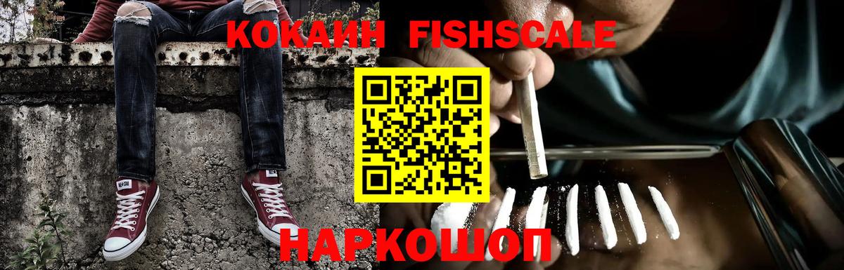 Cocaine Fish Scale  КОКАИН Columbia  Вход с VPN  Кинель 