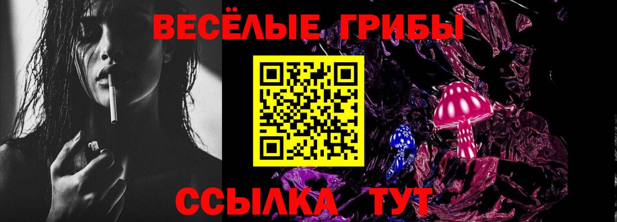 Псилоцибиновые грибы прущие грибы Кинель